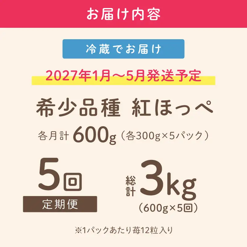 【2027年1月～5月発送予定】【いちご本来の甘酸っぱさを味わう】定番人気 紅ほっぺ 約600g（約300g×2パック×1箱）5ヶ月定期便【配送不可地域：北海道・沖縄・離島】【121B-006-2027】