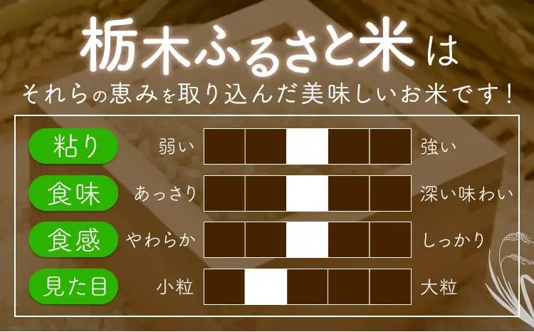 【6ヶ月定期便】令和7年度産 米 栃木県産 コシヒカリ 白米 5kg《お申込み翌月から出荷》栃木県 野木町 米 白米 精米 国産 お米 おこめ お弁当 おにぎり【栃木県共通返礼品】