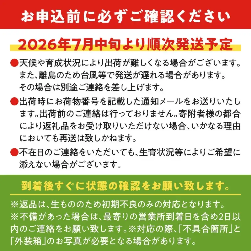 【 2026年 先行予約 】 竹マンゴーファーム の プレミアム 完熟 マンゴー 2キロ（大玉4個入り） C039-007 フルーツ 果物