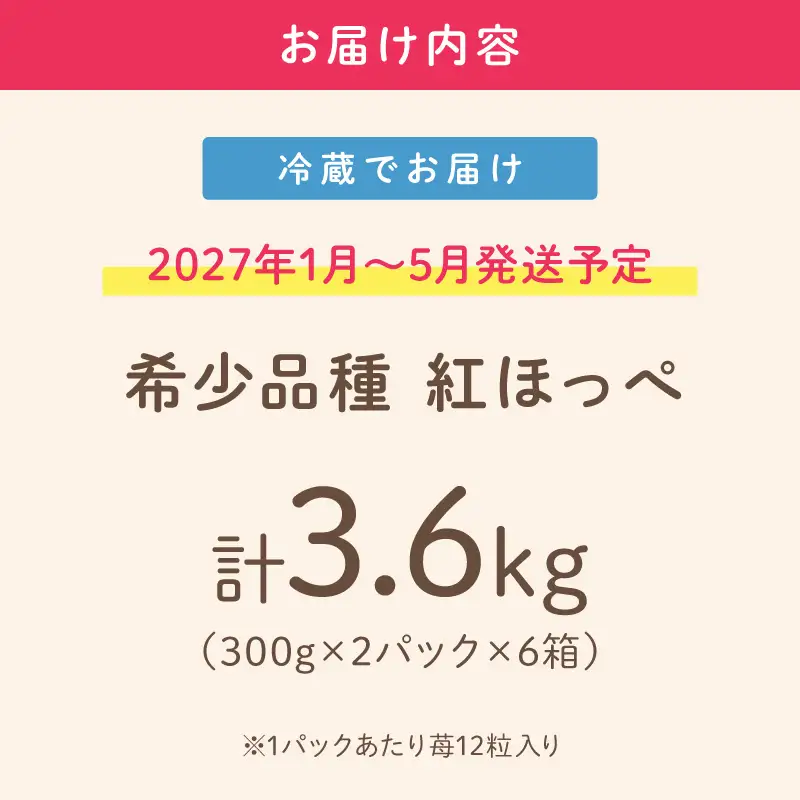 【2027年1月～5月発送予定】【いちご本来の甘酸っぱさを味わう】定番人気 紅ほっぺ 約3.6kg（約300g×2パック×6箱）【配送不可地域：北海道・沖縄・離島】【121B-004-2027】