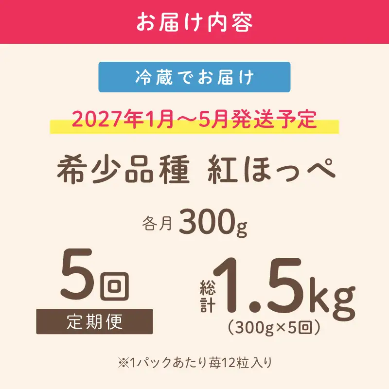 【2027年1月～5月発送予定】【いちご本来の甘酸っぱさを味わう】定番人気 紅ほっぺ 約300g（約300g×1パック×1箱）5ヶ月定期便【配送不可地域：北海道・沖縄・離島】【121C-009-2027】