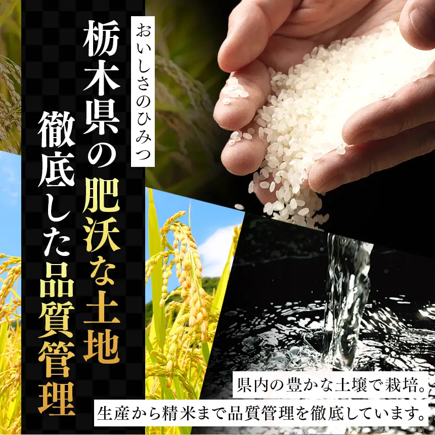 【栃木県共通返礼品】令和7年度産 とちぎの星 5kg | 栃木県 那珂川町 送料無料