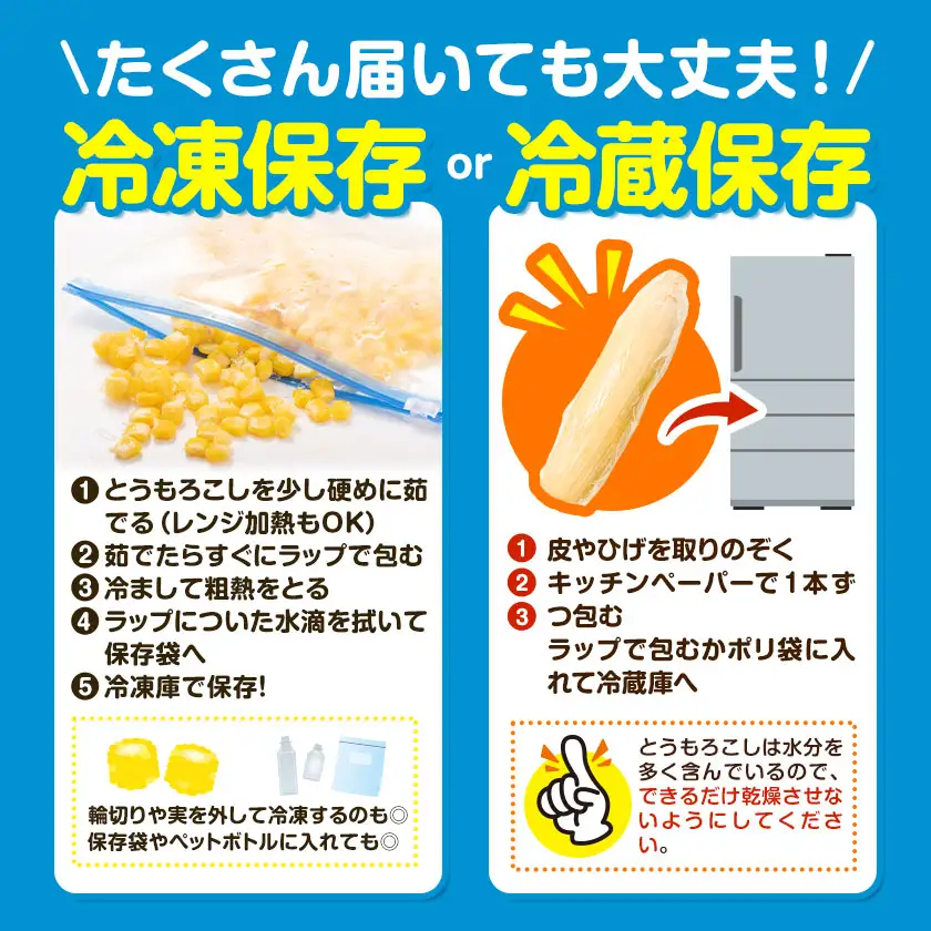 とうもろこし味来 夏祭り 約10kg 野菜 トウモロコシ