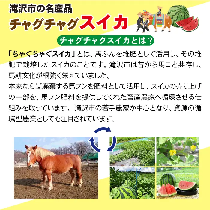 【 先行予約 2026年 8月 発送】 チャグチャグスイカ 2L 7kg 以上 1玉 【駿河農園ベジスル】 滝沢スイカ すいか スイカ 西瓜 1玉 １玉 ２L 大玉 夏 風物詩 定番 旬 フルーツ 果物 くだもの 人気 美味しい 甘い おすすめ オススメ 産地直送 国産 岩手県産 オススメ おすすめ