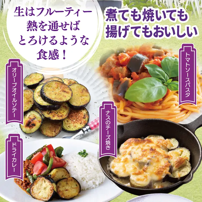 【先行予約】朝採り直送 徳用水なす 15個 訳あり 規格外