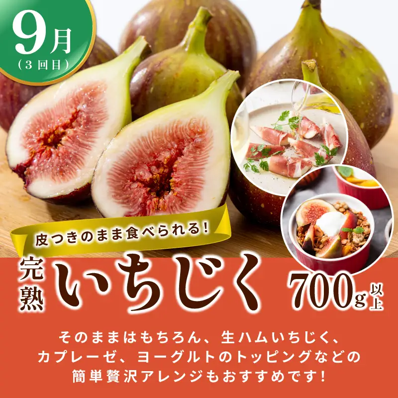 【定期便】泉州TONOファームが贈る定期便 野菜とフルーツの旬の味リレー