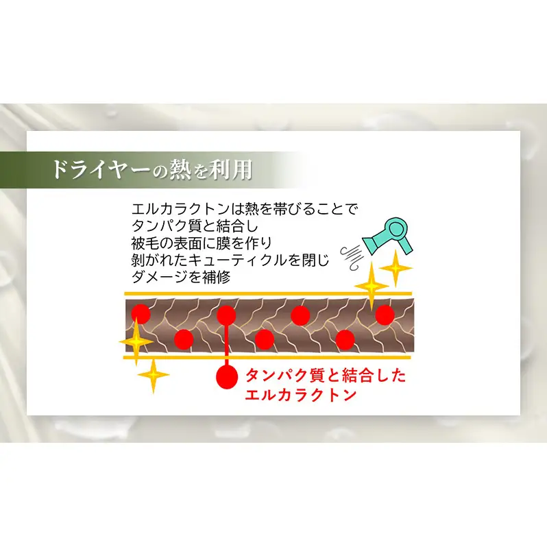 【犬用】アーユルニームシャンプーミニボトル20ml×2本セット 植物由来成分シャンプー 雑貨 日用品 犬用シャンプー