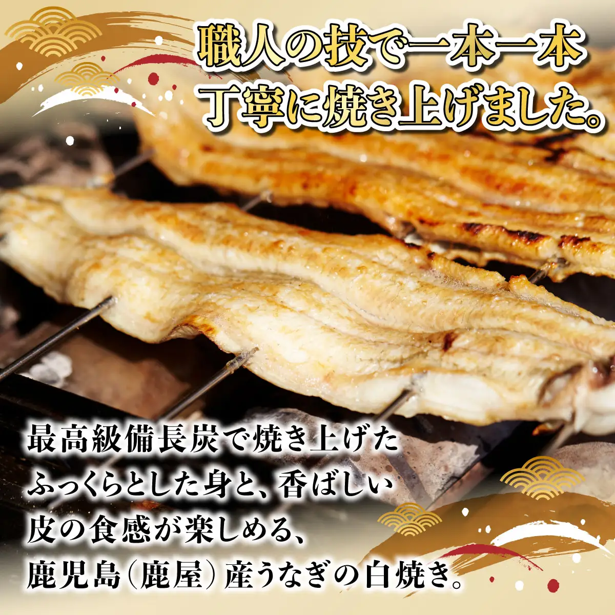 ひじりうなぎ白焼き 1尾 150g【19ui-0005】