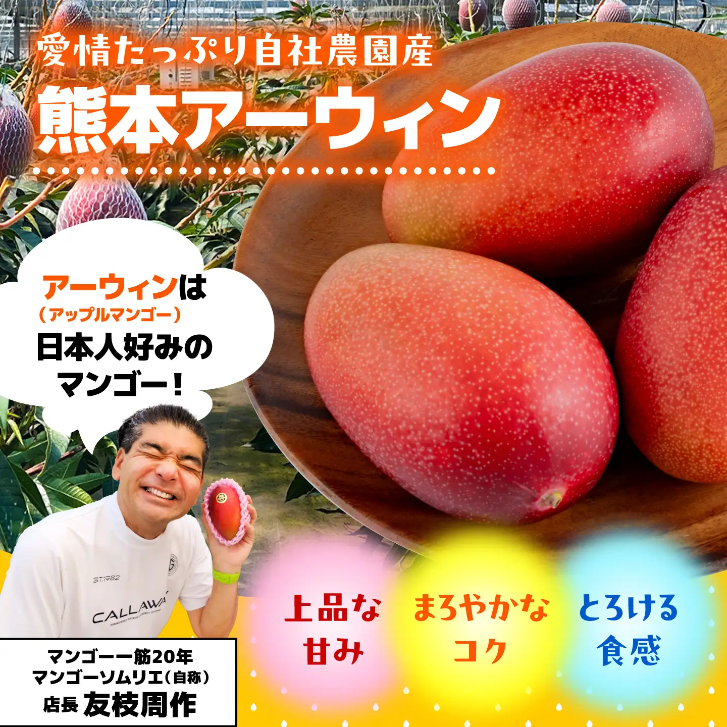 【2026年6月上旬から順次発送】秀品 菊池マンゴー2玉 4Lサイズ 友枝マンゴー農園[AYDF006]