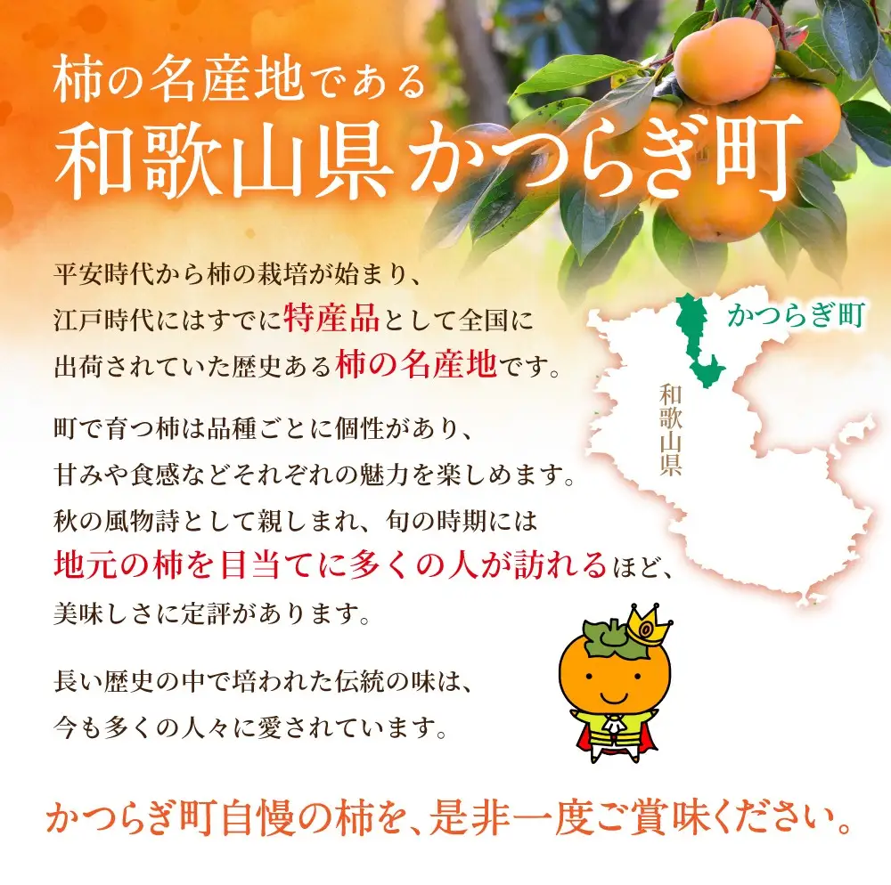 輝太郎　6～7玉入り★2026年9月中旬～10月上旬頃発送予定★｜柿 輝太郎  フルーツ 果物  【A-frks176】