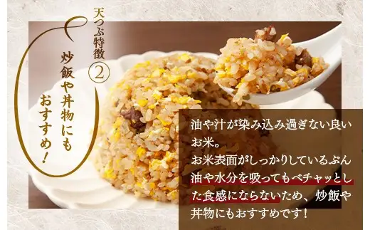 【令和8年産】【全5回定期便】米　国見町産　天のつぶ 5kg（5kg×1袋） 5回定期便 ※2026年10月～発送