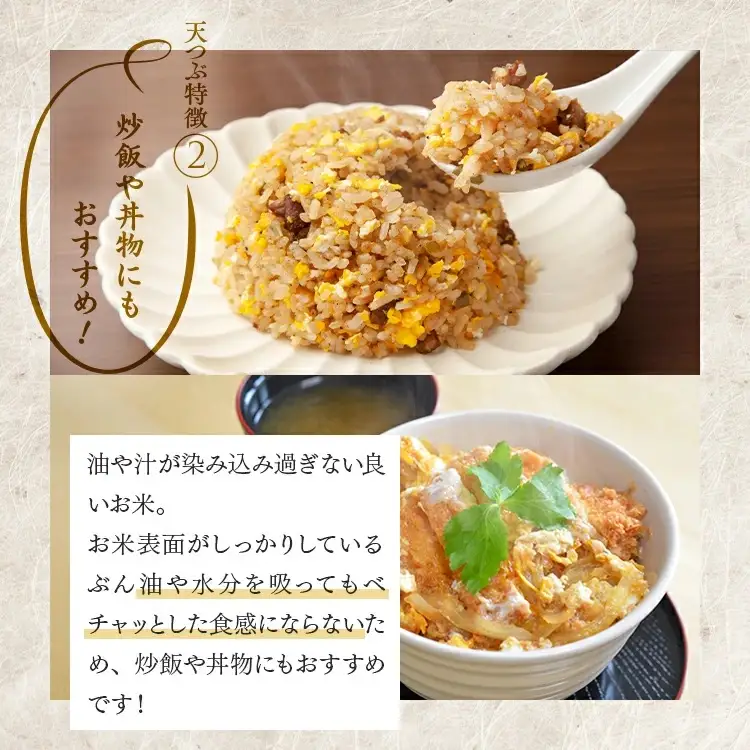 【令和8年産】【全4回定期便】米　 国見町産　天のつぶ 10kg（5kg×2袋） 4回定期便 ※2026年10月～発送