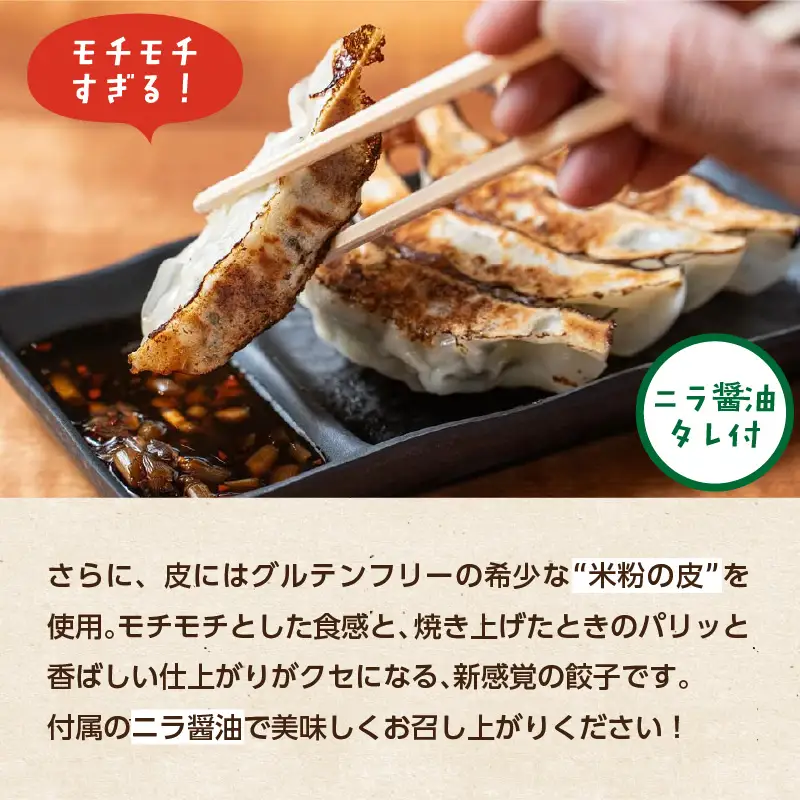 大分特産！グルテンフリーのニラと大葉の米粉餃子 A02038