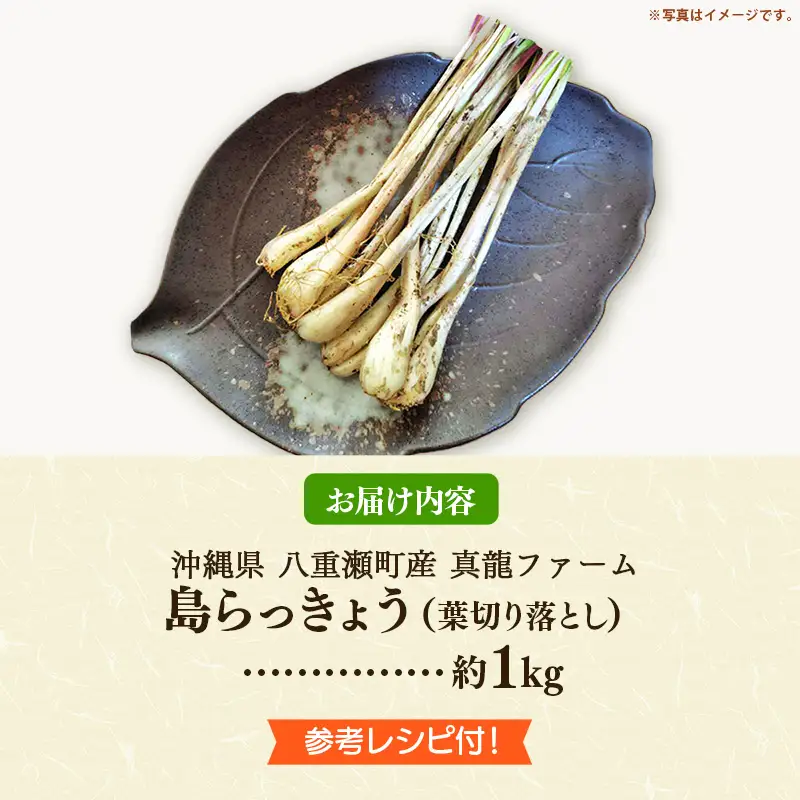 【先行受付】【2026年発送】沖縄県八重瀬町産 葉切り落とし 島らっきょう約1kg - 生らっきょう 国産 甘酢漬け 漬物 天ぷら チャンプルー 有機栽培 おすすめ 送料無料