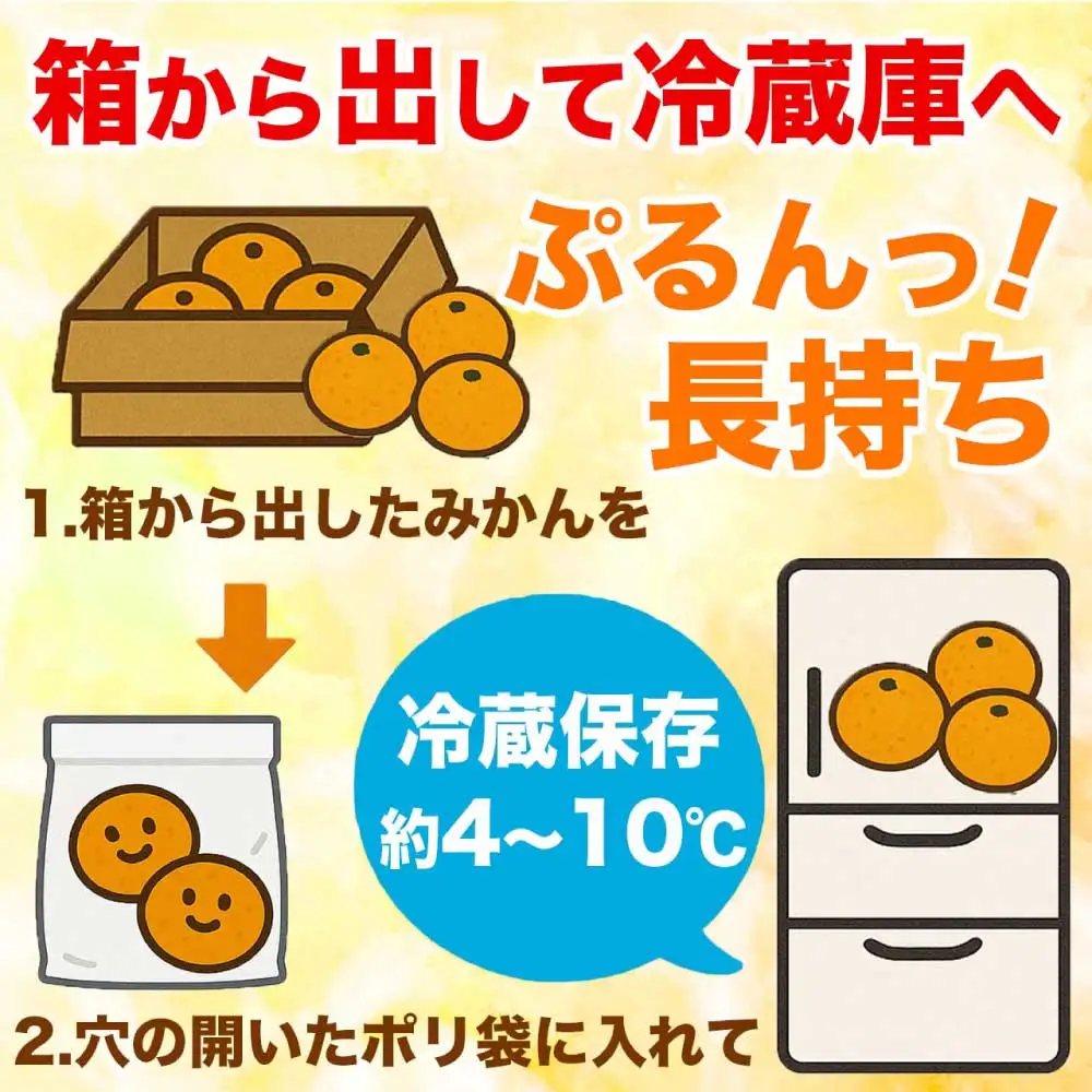 先行予約 温州みかん 約10㎏ （2S～2L）【2026年10月上旬～2027年2月下旬配送予定】