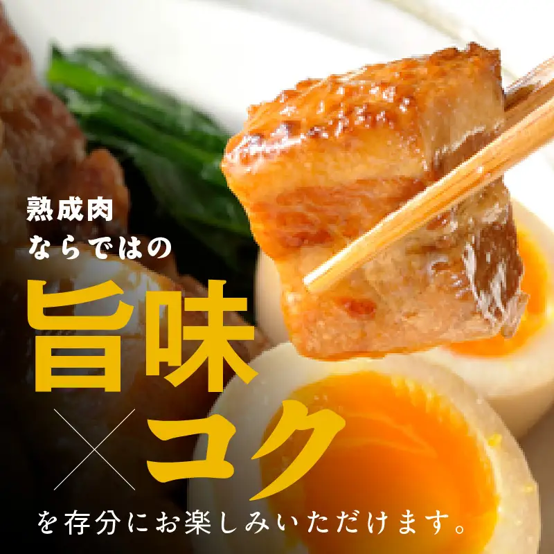 宮崎県産熟成豚 バラブロックセット 約500g×1個 N0105-YA2281