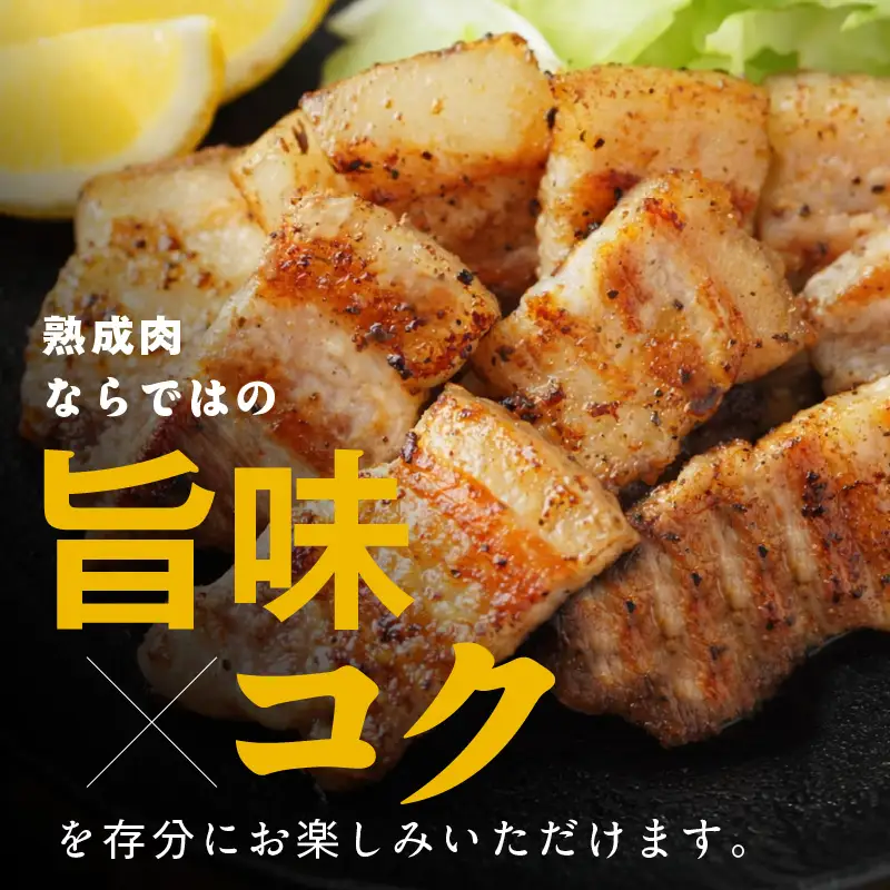 宮崎県産熟成豚 バラ焼肉セット 約250g×2個 N0105-YA2282