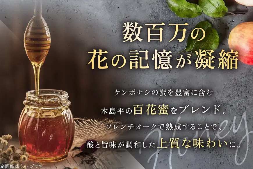 ミード 蜂蜜酒 SHINSHU SHE SAID 375ml 1本 [WICKED WAY MEAD 長野県 池田町 48110854]