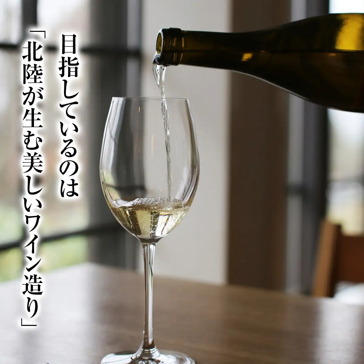 SAYSFARM ROSE2024 ワイン ロゼ | ロゼワイン 国産 葡萄酒 地ワイン 富山県 氷見市