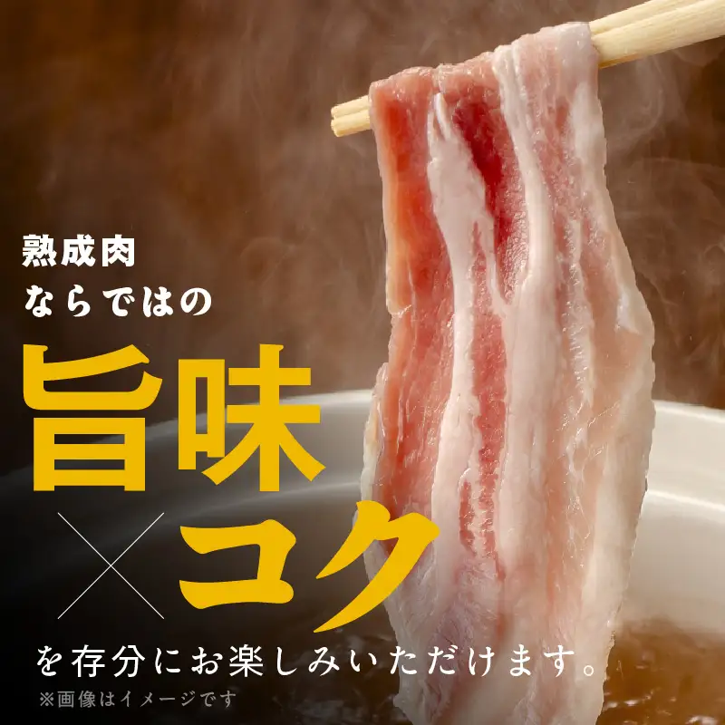 宮崎県産熟成豚 バラスライスセット 約200g×2個 N0105-YA2283