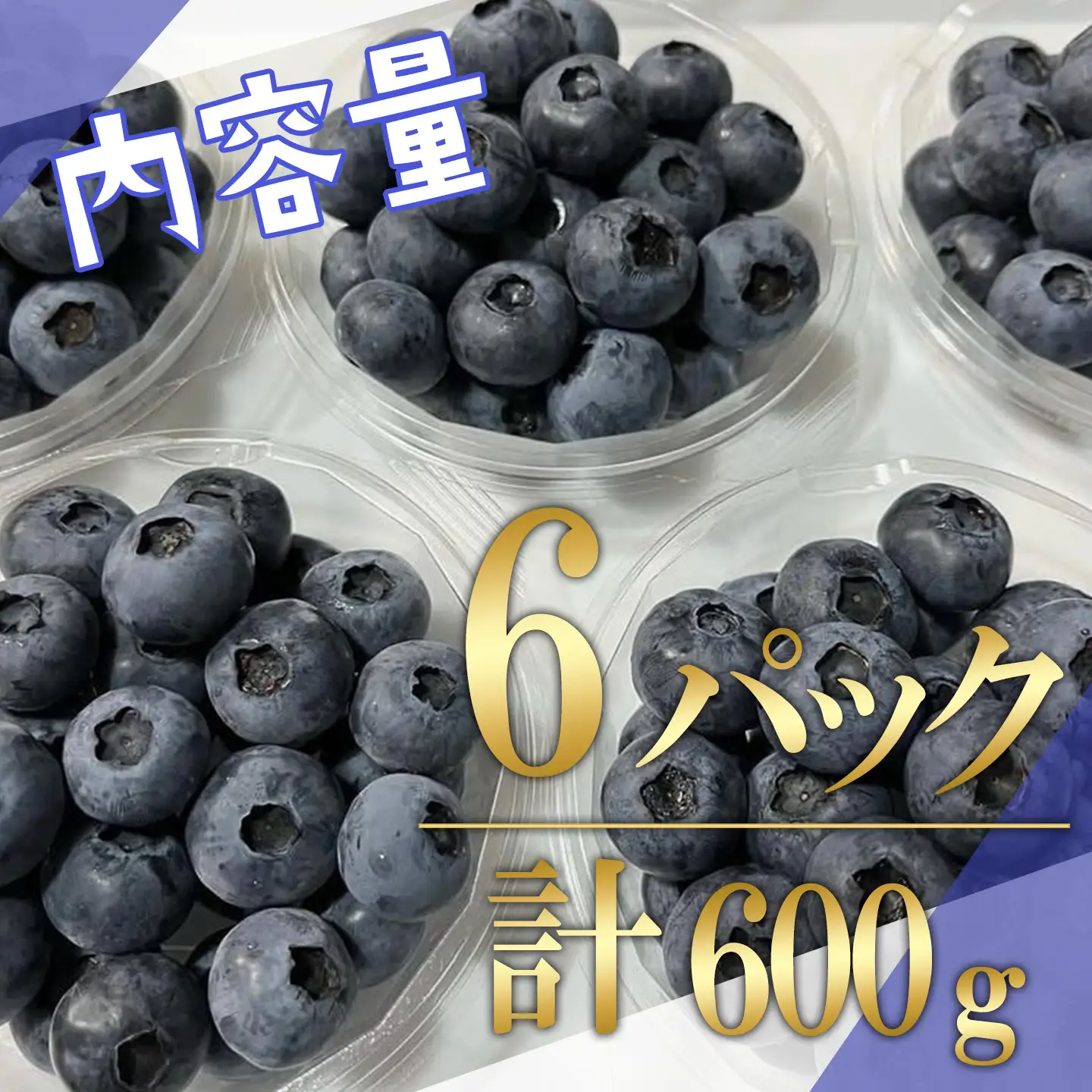 摘みたてブルーベリー 100g×6P 先行予約 ベリー