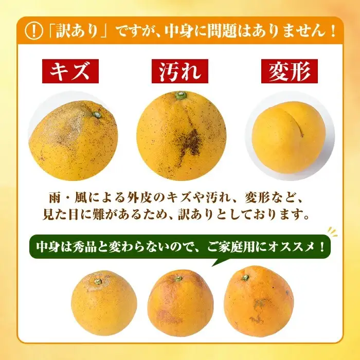 ＜先行予約受付中！2027年3月中旬以降順次発送予定＞訳あり！まなべみかん園の河内晩柑(約10kg) 国産 鹿児島県産 阿久根市産 柑橘類 かんきつ 晩柑 果物 フルーツ 期間限定 数量限定 デザート 訳アリ かわちばんかん 【有限会社まなべみかん園】akn034-09
