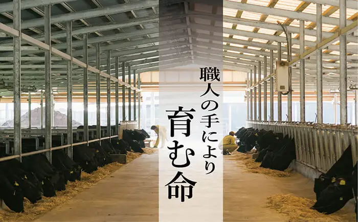 【お中元】鹿児島県産 黒毛和牛スネ肉 角切り 600g スネ肉【00-030-07-R8OC】