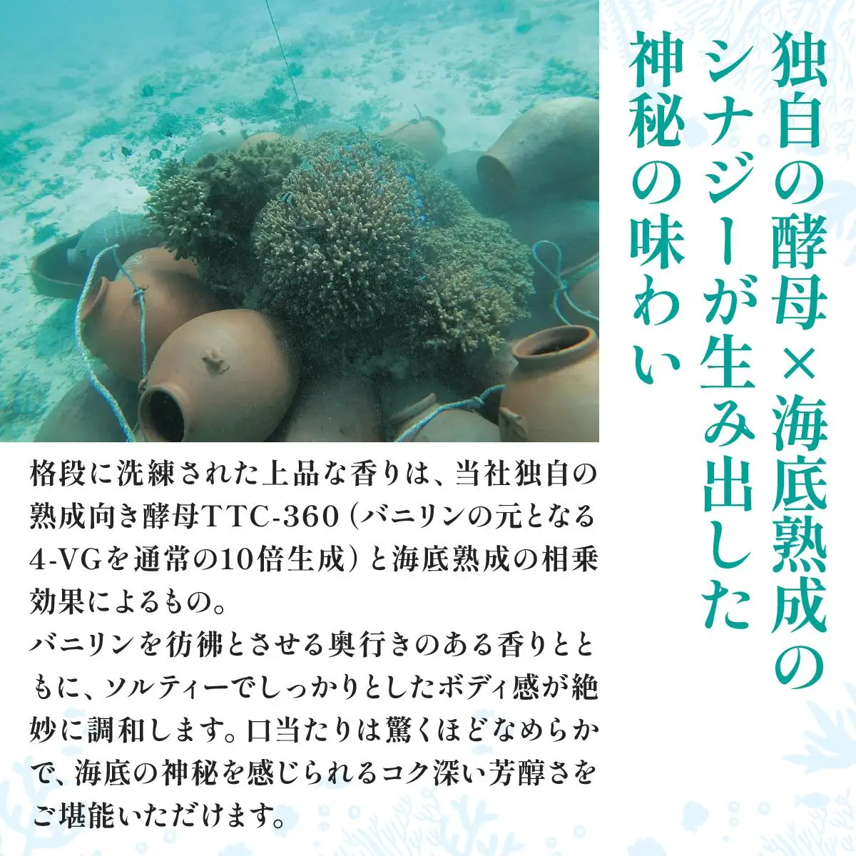 数量限定 『2026海底熟泡盛Tomigusuku Sango』43度 720ml