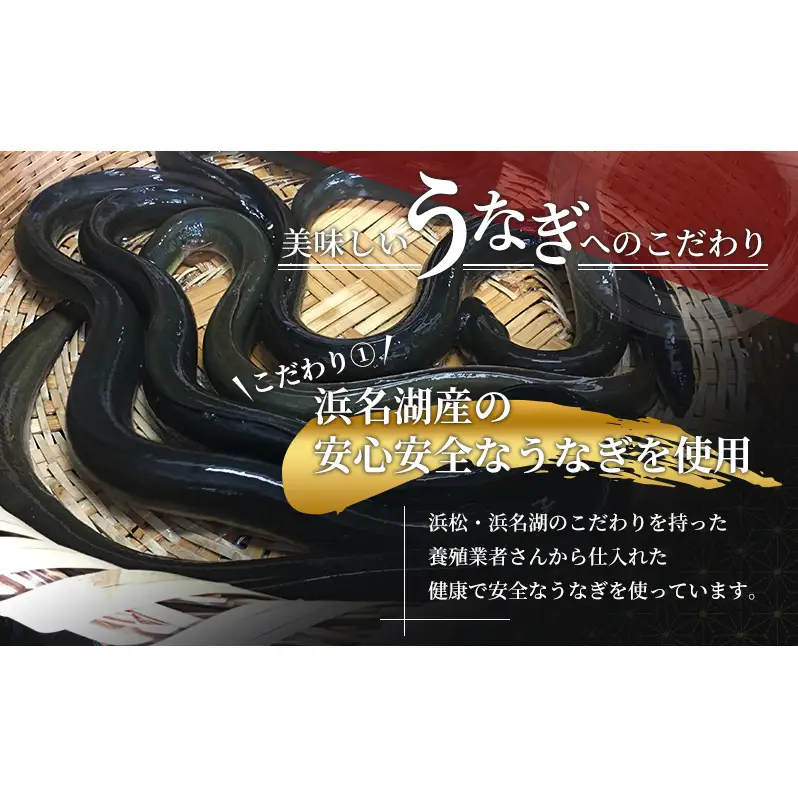 土用の丑の日ギフト 浜名湖産うなぎ 蒲焼 2尾 (100g以上×2本)山椒たれ付き 国産 うなぎセット 国産うなぎ 浜名湖うなぎ 海老仙 静岡 浜松市