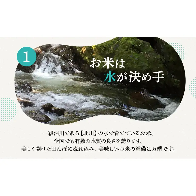 【2月お届け】若狭町コシヒカリ10kg 米 お米 こしひかり 福井県
