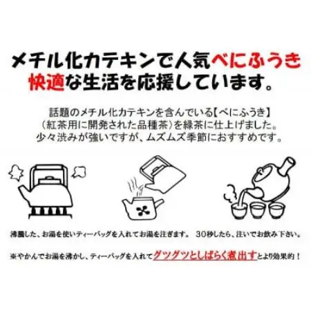 べにふうき緑茶 ティーバッグ5g・10包入り×4袋 静岡県掛川市産 深蒸し製法【配送不可地域：離島・沖縄県】【1736753】