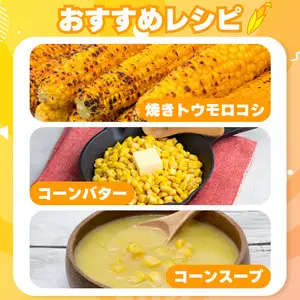 とうもろこし 4kg 甘々娘 とうもろこし