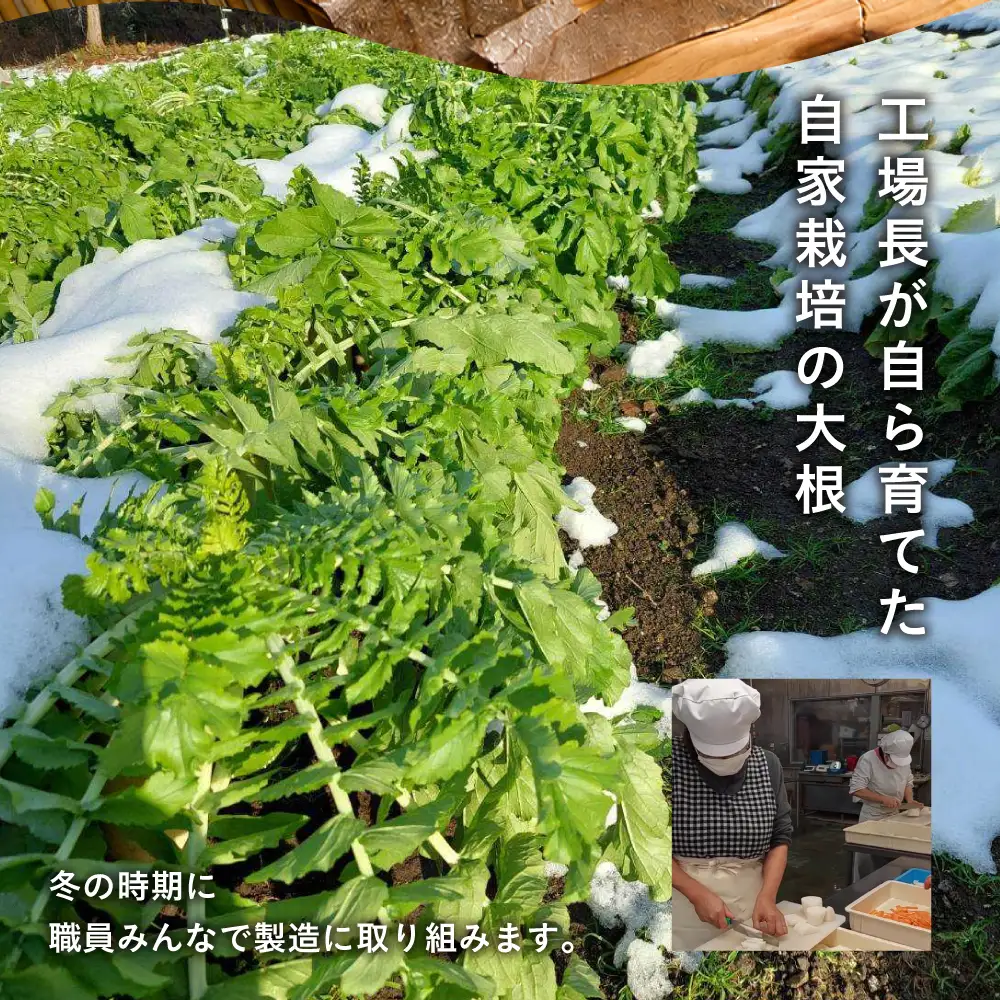 ＜郷土料理＞ 大根ずし 250g×6パック かわいやまさち工房 郷土料理