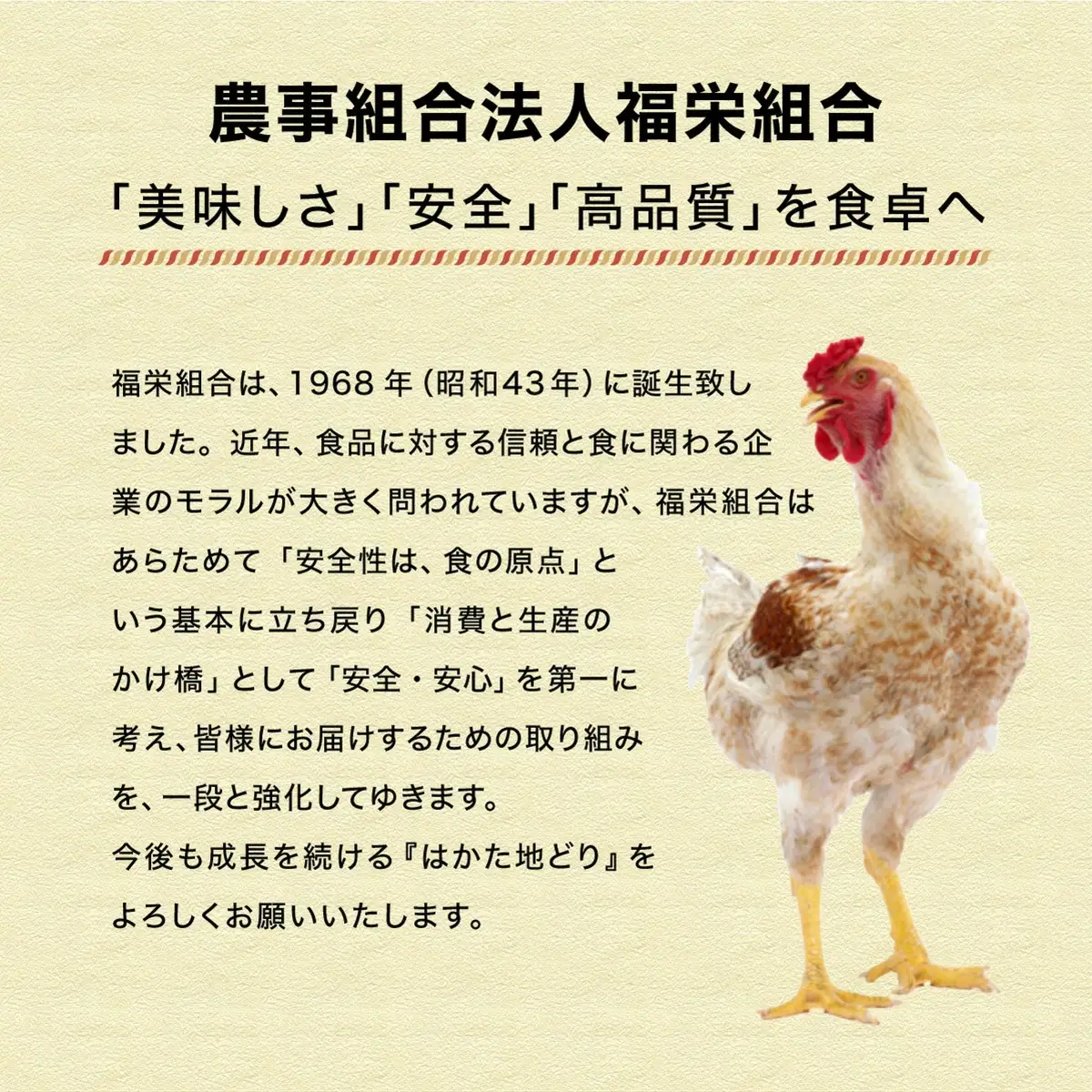 【ふるさと納税】《順次発送》はかた地どり1口チキンカツ　1.8kg|博多 地鶏 鶏肉 ブランド鶏 冷凍 とり肉 鳥肉 惣菜 チキンカツ 簡単調理 CV001