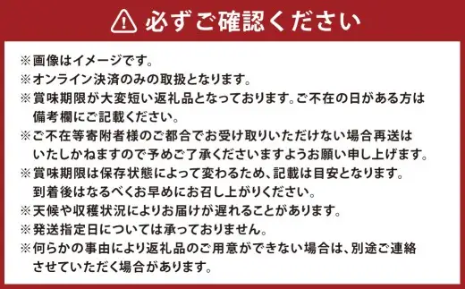 【 2回定期便 】 木熟ぶどう ハレノシャイン シャインマスカット晴王 1房 約700g 果物 くだもの 果実 フルーツ 果汁 ぶどう 葡萄 ブドウ マスカット シャインマスカット 晴王 ブランド 皮ごと 国産 岡山県産 冷蔵 【 2026年9月上旬発送開始予定 】