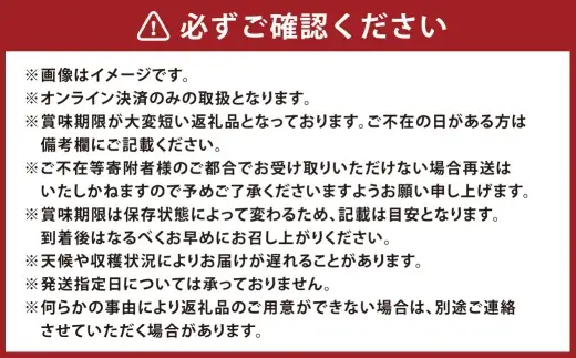 訳あり 木熟ぶどう ハレノシャイン シャインマスカット 晴王 2房 合計約1.1kg 果物 くだもの 果実 フルーツ 果汁 ぶどう 葡萄 ブドウ マスカット 皮ごと 国産 岡山県産 冷蔵 【 2026年10月上旬～11月上旬発送予定 】