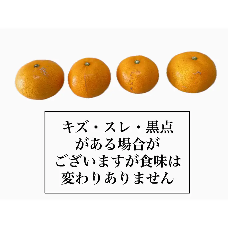 【全3回】食べきり 旬のフルーツ定期便 まつやま農林水産物ブランド | フジ・アグリフーズ みかん 愛媛蜜柑 愛媛ミカン みかん ミカン mikan 蜜柑 柑橘 フルーツ 果物 シャインマスカット ぶどう 数量限定 人気 おすすめ 愛媛県 松山市 送料無料【FA121】