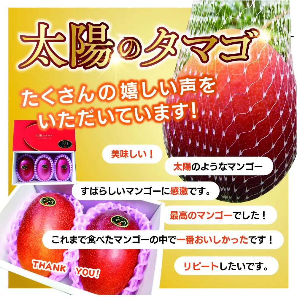 完熟マンゴー『太陽のタマゴ』３玉（約１kg）【JA綾町】_A0114-1011