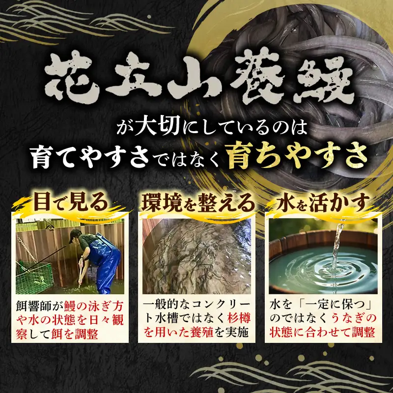 国産 うなぎ 白焼き（鹿児島県産） 2尾 (290〜310g) 【国産100％ 鰻 ウナギ 白焼 土用丑の日 丑の日 冷凍 魚介 海鮮 おかず お祝い ご褒美 贅沢 おすすめ 人気 花立山養鰻 福岡県 筑前町 HY005】