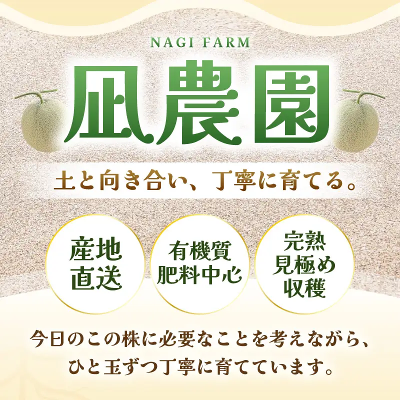 先行予約  アールスメロン (緑肉) 2玉 糖度15度以上 2026年9月上旬以降順次発送予定 [C-22101]
