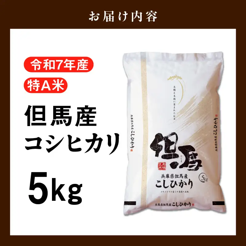 米 5kg コシヒカリ 特A 令和7年産 76-04