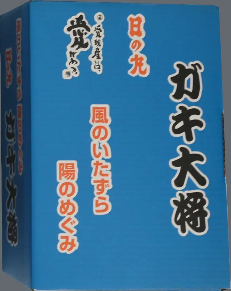 果汁しっかり自然の恵み!「ガキ大将」3kg(L/Mサイズ)/日の丸みかん/ご家庭用【C79-14】【1452037】YWTC014