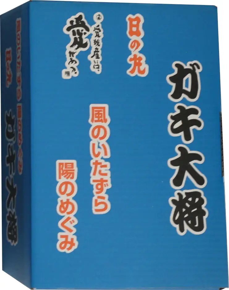 果汁しっかり自然の恵み!「ガキ大将」3kg(小玉サイズ)/日の丸みかん/ご家庭用【C79-16】【1452039】YWTC016
