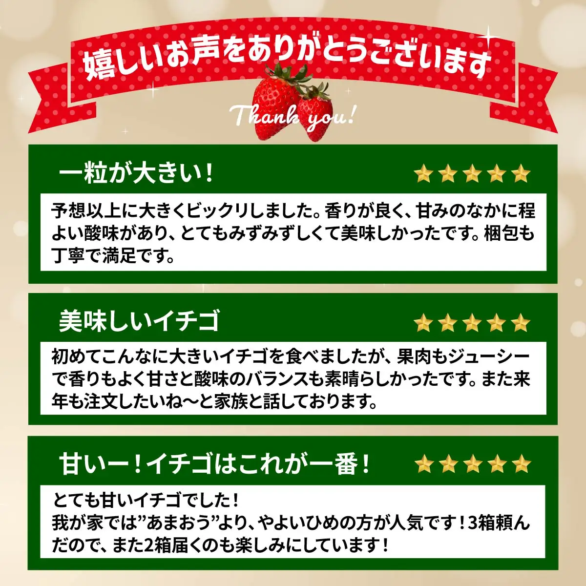 いちご やよいひめ 約800g いちご 4ヶ月定期便