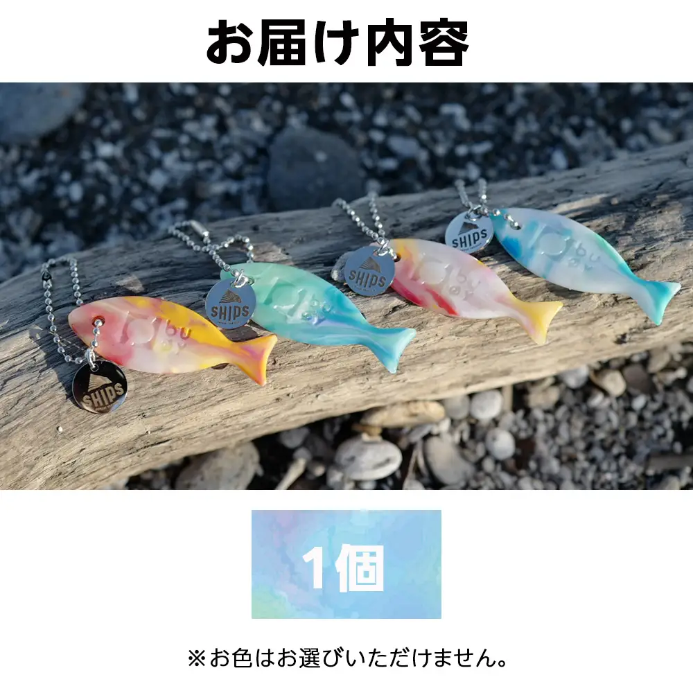 白老産海洋プラスチックゴミのアップサイクル キーホルダー1個(さかな型) SR004