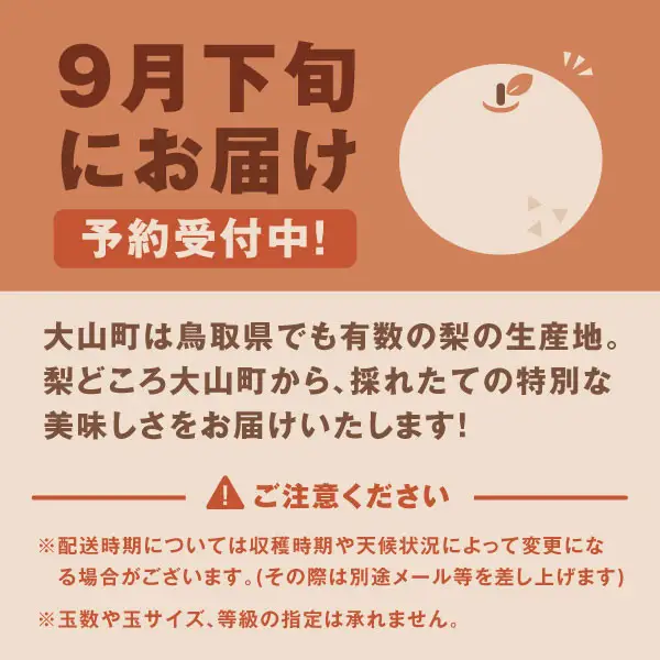 YN-04　鳥取県産和ナシ 甘太梨5kg