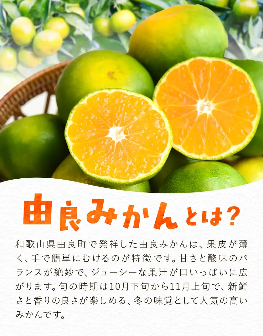 みかん 由良 早生 みかん 約3kg エイワ商店