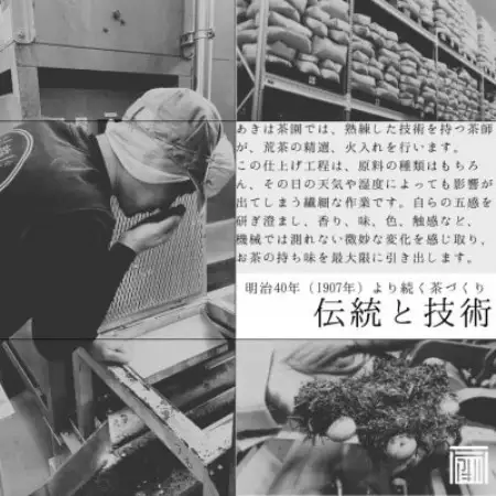 最上級煎茶「金扇」深蒸し煎茶100g×3袋セット 2026年度産【配送不可地域：離島・沖縄県】【1612220】