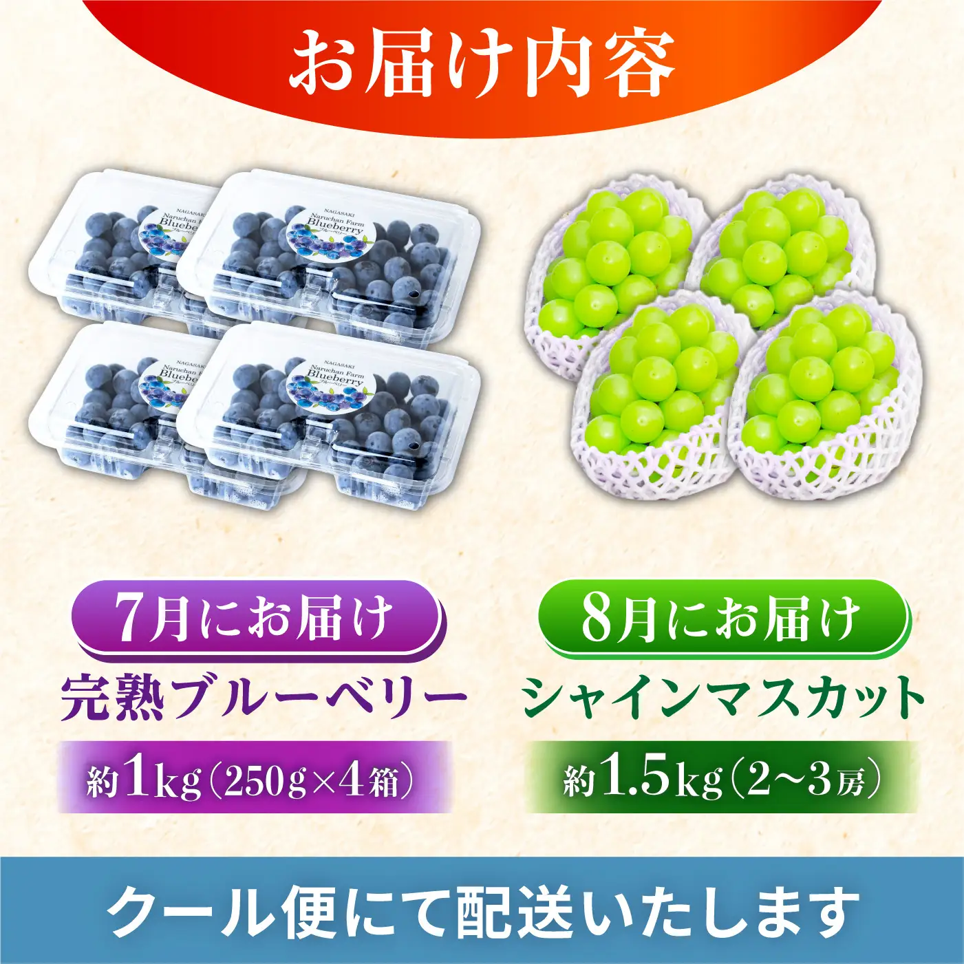 フルーツ2回定期便（ブルーベリー 約1kg・シャインマスカット 約1.5kg） 大村市 おおむら夢ファームシュシュ/ ブルーベリー ぶるーべりー ぶどう ブドウ 葡萄 フルーツ定期便 シャインマスカット[ACAA492]