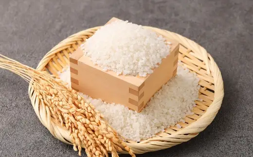 令和7年産 熊本県産 お米 5kg （ ヒノヒカリ ） お米 米 こめ コメ 白米 白飯 飯 ご飯 おにぎり ブランド米 ブランド 国産 食味 粘り 甘み 【 2026年8月下旬まで発送予定 】